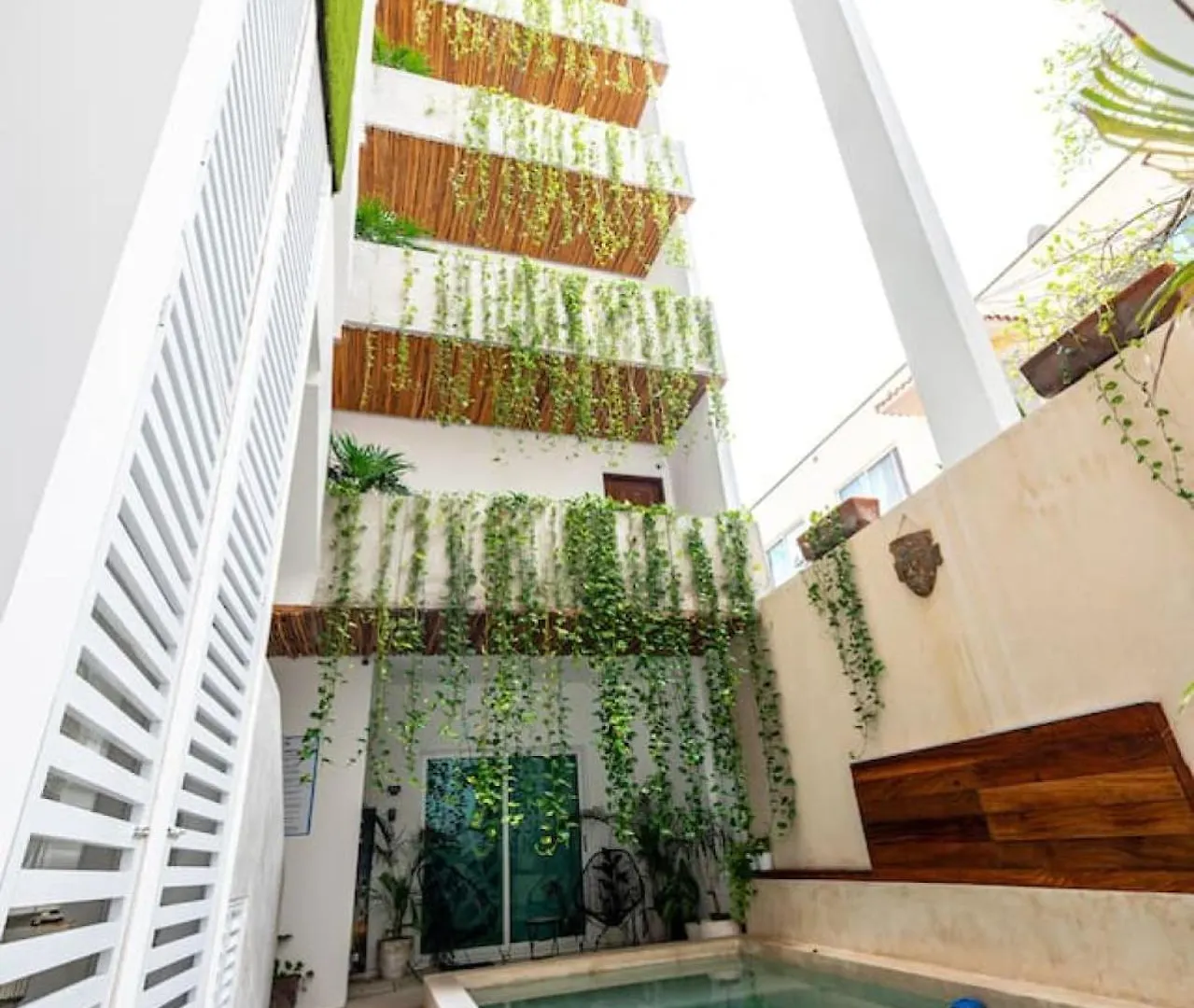 Vakantiehuis 1 Bedroom Apt W Rooftop Pool Walk To Beach 5Th Ave Playa del Carmen Mexico