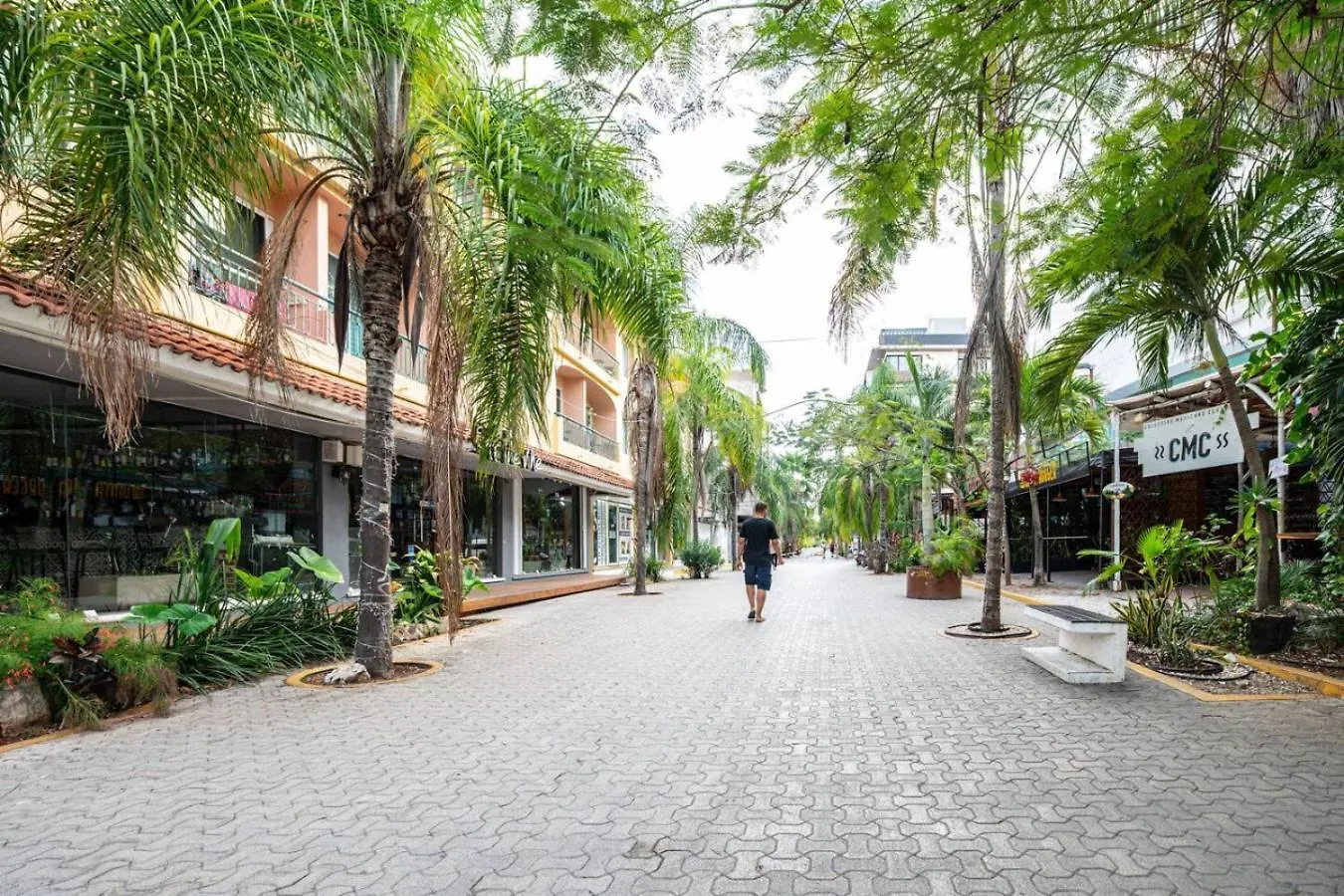 1 Bedroom Apt W Rooftop Pool Walk To Beach 5Th Ave Playa del Carmen México