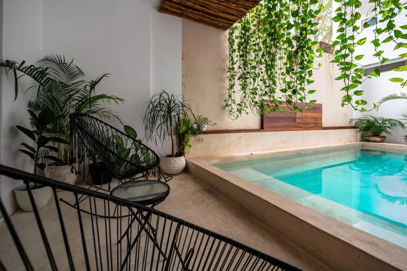 1 Bedroom Apt W Rooftop Pool Walk To Beach 5Th Ave Playa del Carmen Сasa de vacaciones