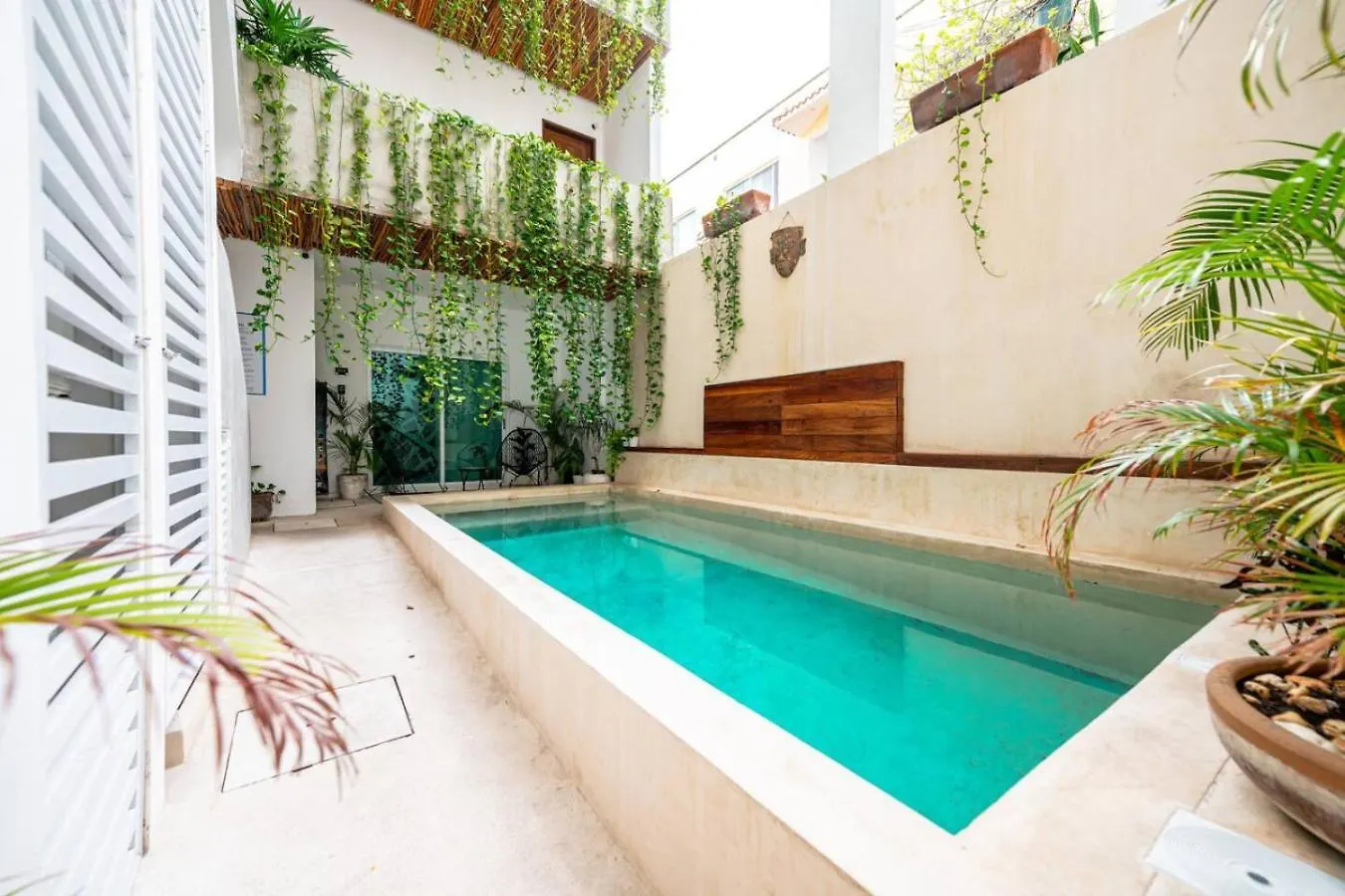 Сasa de vacaciones 1 Bedroom Apt W Rooftop Pool Walk To Beach 5Th Ave Playa del Carmen